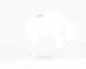 Компенсационный бак, охлаждающая жидкость BSG купить